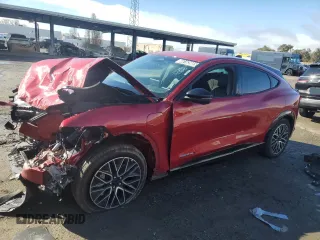 2024 Ford Mustang Mach-E Premium with VIN 3FMTK3SU2RMA04582, listed as a Copart auction lot 46163965 with Not Provided miles and Non Repairable. Bid and sale history available at DreamBid. Image 1.