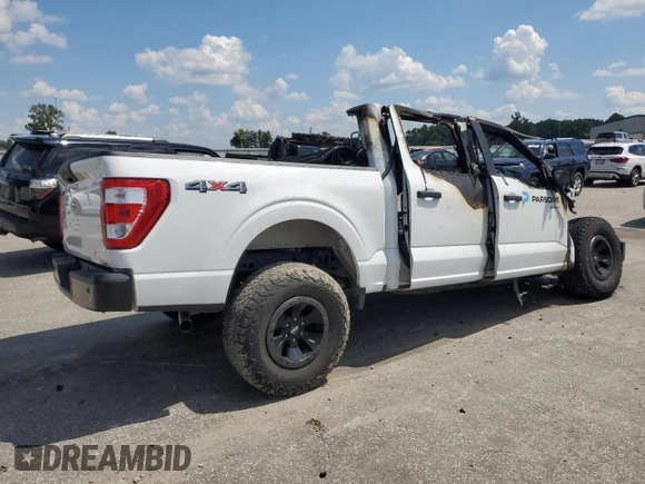 2023 Ford F-150 XL with VIN 1FTEW1EB1PKE67737, listed as a Copart auction lot 67359184 with 0 mi miles and Salvage Title. Bid and sale history available at carsss.com. Image 3.