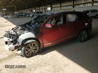 2019 Acura RDX Technology with VIN 5J8TC1H5XKL022813, listed as a Copart auction lot 61309995 with Not provided miles and Salvage title. Bid and sale history available at DreamBid. Image 1.