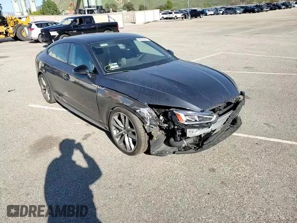 2019 Audi A5 Sportback Premium Plus with VIN WAUENCF5XKA007138, listed as a Copart auction lot 42775813 with 53,501 mi miles. Bid and sale history available at carsss.com. Image 16.