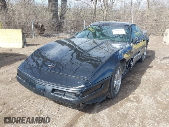 1995 Chevrolet Corvette z VIN 1G1YY22P1S5118252, wystawiony jako IAAI lot #41816716 z przebiegiem 143 210 mil mil oraz . Historia ofert i sprzedaży dostępna na DreamBid. Obrazek 2.