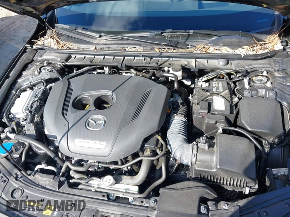2023 Mazda 3 Premium Plus with VIN 3MZBPBEY9PM385318, listed as a IAAI auction lot 41882334 with 10,582 mi miles and . Bid and sale history available at DreamBid. Image 10.