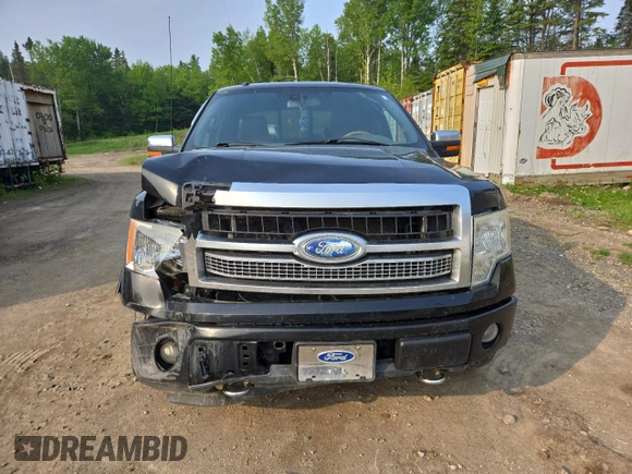 2009 Ford F-150 XL with VIN 1FTPW14V29FB29022, listed as a Copart auction lot 59518745 with 225,701 mi miles and Salvage title. Bid and sale history available at DreamBid. Image 5.