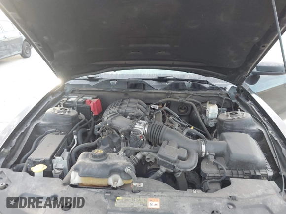 2012 Ford Mustang Premium with VIN 1ZVBP8AM5C5230822, listed as a IAAI auction lot 42647776 with 136,049 mi miles and . Bid and sale history available at DreamBid. Image 10.
