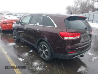 2016 Kia Sorento EX with VIN 5XYPHDA51GG061449, listed as a IAAI auction lot 41624702 with 1 mi miles. Bid and sale history available at carsss.com. Image 3.