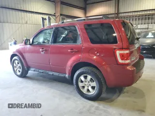 2009 Ford Escape Limited with VIN 1FMCU04G39KA16750, listed as a Copart auction lot 52678475 with 120,865 mi miles and Salvage title. Bid and sale history available at DreamBid. Image 2.