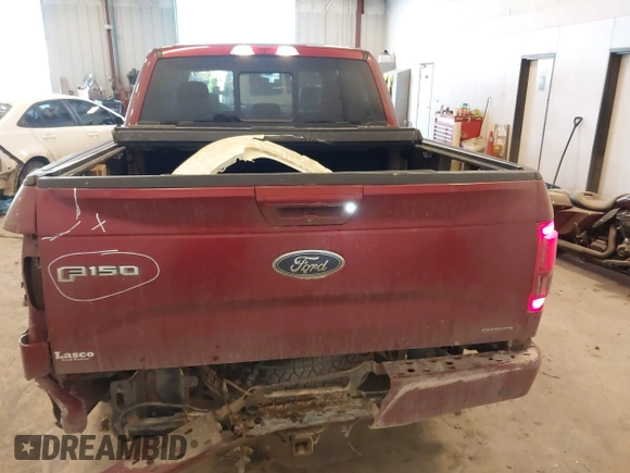2016 Ford F-150 XLT with VIN 1FTEW1EF3GFC70144, listed as a IAAI auction lot 41448079 with 123,692 mi miles. Bid and sale history available at carsss.com. Image 16.