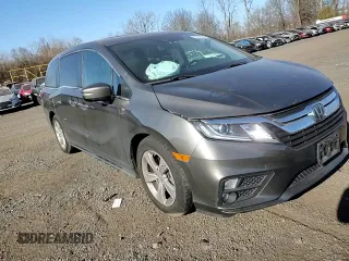 2019 Honda Odyssey EX-L with VIN 5FNRL6H7XKB042232, listed as a Copart auction lot 81066384 with 55,724 mi miles and Salvage Title. Bid and sale history available at carsss.com. Image 12.