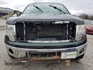 2014 Ford F-150 XL with VIN 1FTFX1ET9EFB82879, listed as a Copart auction lot 49855315 with 142,217 mi miles and Salvage title. Bid and sale history available at DreamBid. Image 5.