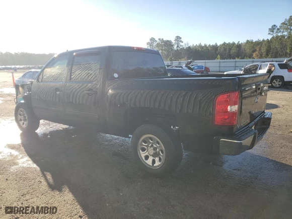 2009 Chevrolet Silverado 1500 LS with VIN 3GCEC13C39G238071, listed as a Copart auction lot 86747064 with 113,077 mi miles and Salvage Title. Bid and sale history available at carsss.com. Image 2.