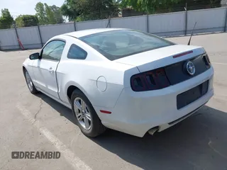 2014 Ford Mustang V6 with VIN 1ZVBP8AMXE5245688, listed as a IAAI auction lot 42074539 with 146,028 mi miles. Bid and sale history available at carsss.com. Image 3.