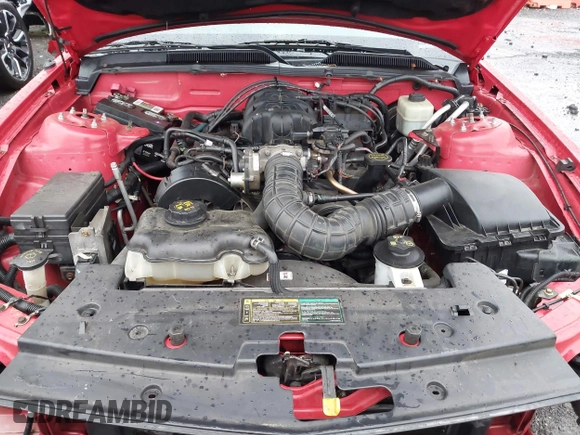 2005 Ford Mustang Deluxe with VIN 1ZVFT80NX55170109, listed as a IAAI auction lot 41981308 with 84,419 mi miles. Bid and sale history available at carsss.com. Image 10.