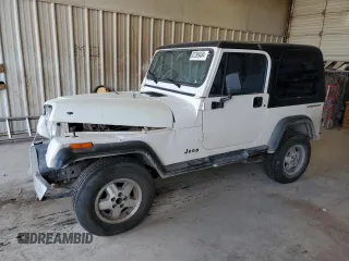 1995 Jeep Wrangler with VIN 1J4FY29SXSP309742, listed as a Copart auction lot 82399484 with 167,866 mi miles and Salvage Title. Bid and sale history available at carsss.com. Image 1.