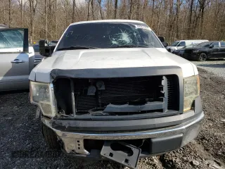 2010 Ford F-150 XL with VIN 1FTFX1CV2AFD12192, listed as a Copart auction lot 49967905 with 205,641 mi miles and Salvage Title. Bid and sale history available at DreamBid. Image 5.