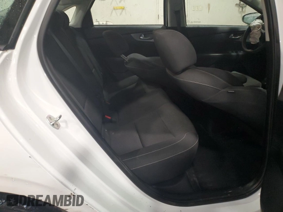 2019 Kia Forte LXS with VIN 3KPF24AD6KE067242, listed as a Copart auction lot 48718705 with 43,998 mi miles and Salvage Title. Bid and sale history available at DreamBid. Image 10.