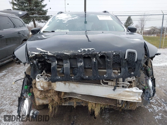 2018 Jeep Cherokee Limited with VIN 1C4PJMDX8JD530088, listed as a IAAI auction lot 41213375 with 96,210 mi miles. Bid and sale history available at carsss.com. Image 13.