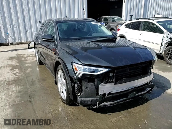 2019 Audi e-tron Premium Plus with VIN WA1LAAGEXKB015138, listed as a Copart auction lot 48853815 with 35,816 mi miles and Salvage title. Bid and sale history available at DreamBid. Image 15.