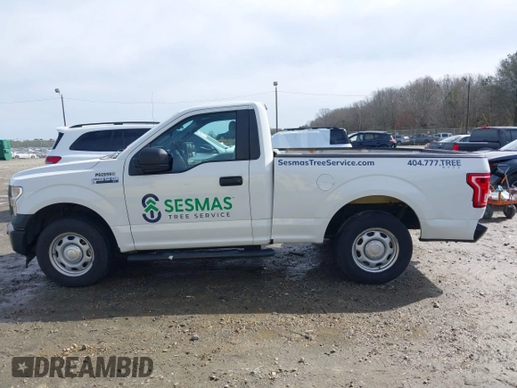 2017 Ford F-150 XL with VIN 1FTMF1C85HFC36014, listed as a IAAI auction lot 41577407 with 141,180 mi miles. Bid and sale history available at carsss.com. Image 14.