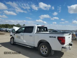 2024 Ford F-150 XLT with VIN 1FTFW3L5XRKD72951, listed as a Copart auction lot 72419834 with 0 mi miles and Salvage Title. Bid and sale history available at carsss.com. Image 2.
