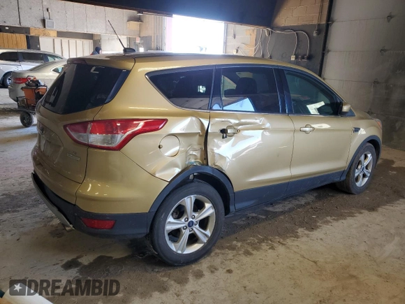 2015 Ford Escape SE with VIN 1FMCU0G9XFUA63772, listed as a Copart auction lot 46142315 with 254,814 mi miles and Salvage Title. Bid and sale history available at carsss.com. Image 3.