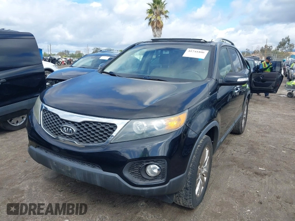2011 Kia Sorento EX with VIN 5XYKU4A24BG053222, listed as a IAAI auction lot 41741806 with 1 mi miles. Bid and sale history available at carsss.com. Image 2.