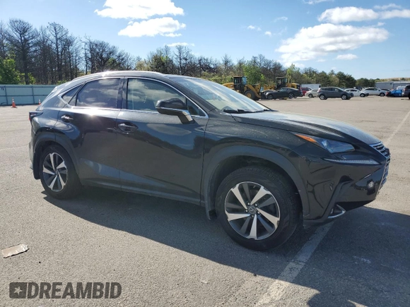 2019 Lexus NX 300 with VIN JTJBARBZ3K2203877, listed as a Copart auction lot 57160035 with 46,238 mi miles and Salvage title. Bid and sale history available at DreamBid. Image 4.