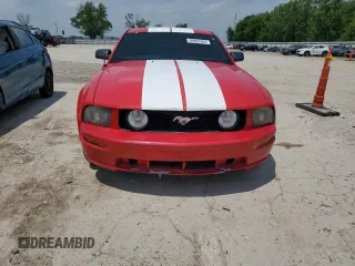 2008 Ford Mustang GT Deluxe с VIN 1ZVHT82H485102912, выставлен на аукционе Copart как лот 59882565 с пробегом 82 892 миль миль и Списание • Salvage title. История ставок и продаж доступна на DreamBid. Изображение 5.