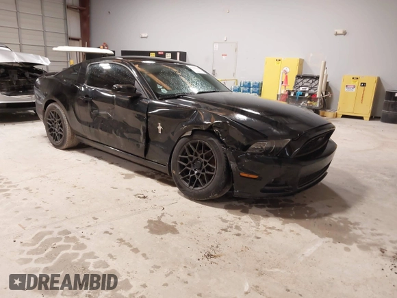 2013 Ford Mustang V6 z VIN 1ZVBP8AM5D5268763, wystawiony jako IAAI lot #42254330 z przebiegiem 127 353 mil mil oraz . Historia ofert i sprzedaży dostępna na DreamBid. Obrazek 1.