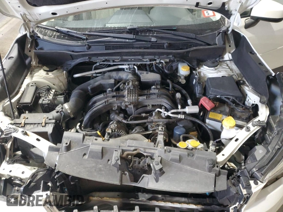 2019 Subaru Forester Premium with VIN JF2SKAEC8KH449783, listed as a Copart auction lot 48060885 with 62,117 mi miles and Salvage Title. Bid and sale history available at carsss.com. Image 12.