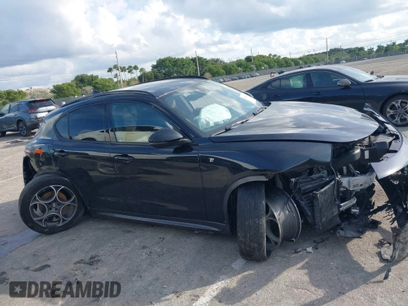 2024 Alfa Romeo Stelvio Veloce z VIN ZASPAKBN7R7D70471, wystawiony jako IAAI lot #41231215 z przebiegiem 30 393 mil mil oraz . Historia ofert i sprzedaży dostępna na DreamBid. Obrazek 13.