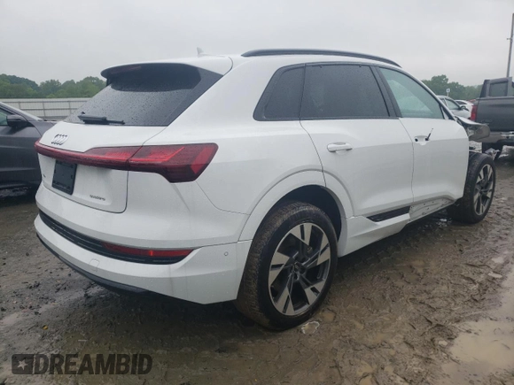 2022 Audi e-tron Premium with VIN WA1AAAGE2NB014917, listed as a Copart auction lot 50104223 with 25,123 mi miles. Bid and sale history available at carsss.com. Image 3.