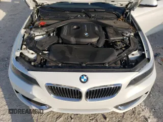 2017 BMW 2 Series 230i with VIN WBA2K9C31HV950554, listed as a Copart auction lot 44006705 with Not provided miles and Salvage title. Bid and sale history available at DreamBid. Image 11.