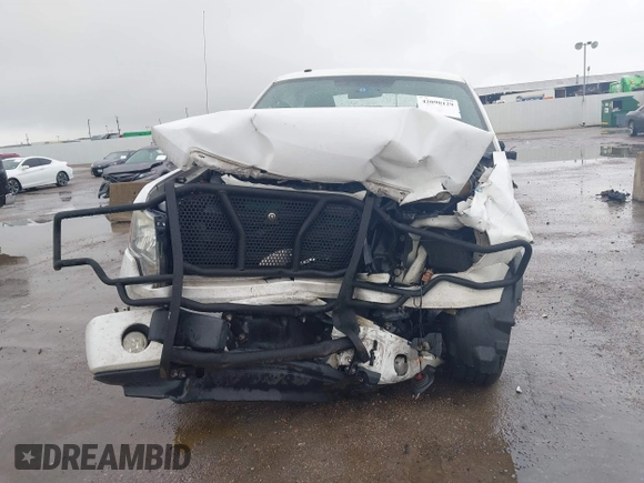 2009 Ford F-150 STX with VIN 1FTRX12W09FA43158, listed as a IAAI auction lot 42098129 with Not Provided miles and . Bid and sale history available at DreamBid. Image 6.