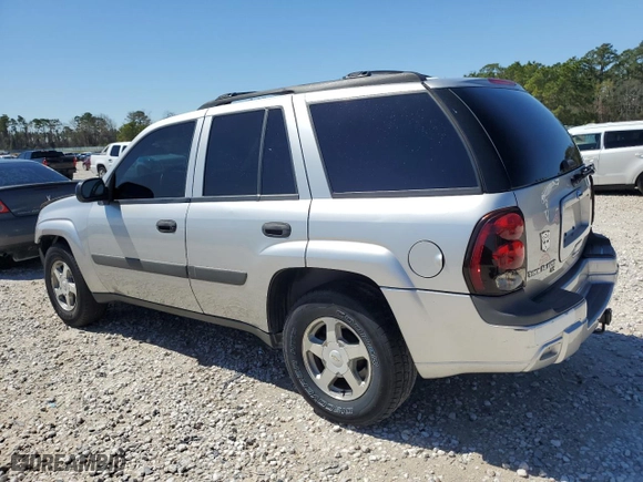 2005 Chevrolet TrailBlazer LT with VIN 1GNDT13S252266814, listed as a Copart auction lot 48248945 with 249,013 mi miles and Salvage Title. Bid and sale history available at carsss.com. Image 2.