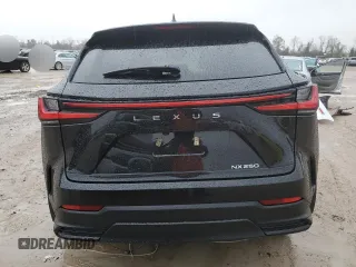 2024 Lexus NX 250 Premium с VIN 2T2GDCAZ8RC014499, выставлен на аукционе Copart как лот 44348375 с пробегом 17 227 миль миль и Списание • Salvage title. История ставок и продаж доступна на DreamBid. Изображение 6.