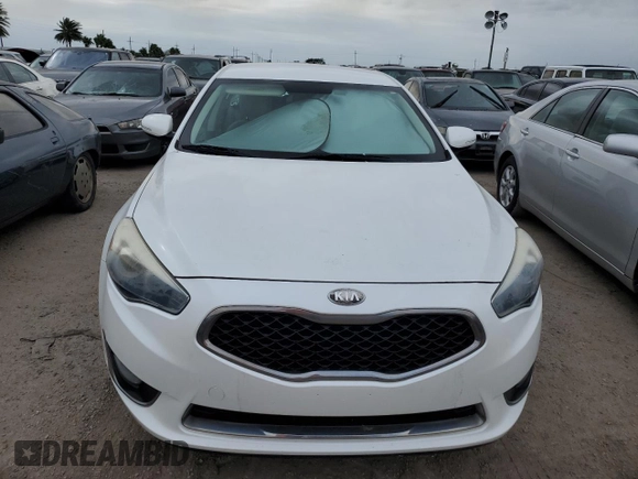 2014 Kia Cadenza Premium with VIN KNALN4D77E5145038, listed as a Copart auction lot 75134194 with 0 mi miles and Salvage Title. Bid and sale history available at carsss.com. Image 5.
