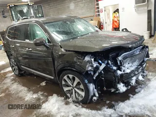 2022 Kia Telluride S with VIN 5XYP6DHC4NG200609, listed as a IAAI auction lot 41595189 with 54,189 mi miles and . Bid and sale history available at DreamBid. Image 1.