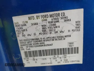 2009 Ford F-150 STX with VIN 1FTRX12W89KB25047, listed as a IAAI auction lot 41484924 with 310,768 mi miles. Bid and sale history available at carsss.com. Image 9.