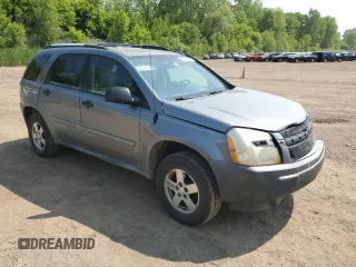2005 Chevrolet Equinox LS z VIN 2CNDL13F856148163, wystawiony jako Copart lot #59356895 z przebiegiem 134 466 mil mil oraz Czysty tytuł • Clean title. Historia ofert i sprzedaży dostępna na DreamBid. Obrazek 4.