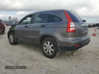 2009 Honda CR-V EX with VIN 5J6RE48569L012210, listed as a Copart auction lot 44031145 with 289,356 mi miles and Salvage Title. Bid and sale history available at carsss.com. Image 2.