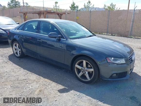 2011 Audi A4 2.0T Premium Plus with VIN WAUFFAFL6BN004234, listed as a IAAI auction lot 42142276 with 116,355 mi miles. Bid and sale history available at carsss.com. Image 1.
