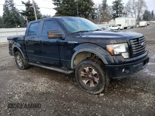 2011 Ford F-150 XL with VIN 1FTFW1EF1BFC50696, listed as a Copart auction lot 43288555 with 228,970 mi miles and Clean Title. Bid and sale history available at carsss.com. Image 4.
