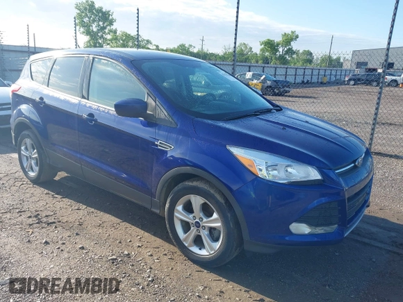 2014 Ford Escape SE with VIN 1FMCU0GX8EUA69910, listed as a IAAI auction lot 42174164 with 194,628 mi miles and . Bid and sale history available at DreamBid. Image 1.