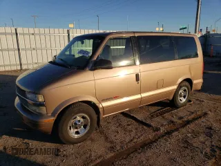 1999 Chevrolet Astro with VIN 1GNEL19W8XB173300, listed as a Copart auction lot 80315574 with 166,315 mi miles and Salvage Title. Bid and sale history available at carsss.com. Image 1.