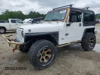2001 Jeep Wrangler Sport with VIN 1J4FA49S61P342672, listed as a Copart auction lot 64595945 with 123,317 mi miles and Clean title. Bid and sale history available at DreamBid. Image 1.
