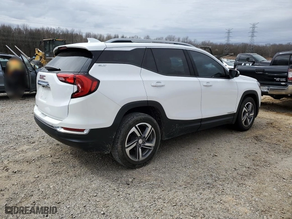 2020 GMC Terrain SLT with VIN 3GKALPEV8LL124005, listed as a Copart auction lot 46806245 with 124,270 mi miles and Salvage Title. Bid and sale history available at carsss.com. Image 3.