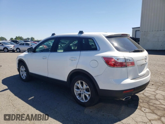 2011 Mazda CX-9 Sport with VIN JM3TB3BV0B0317837, listed as a Copart auction lot 55964325 with 133,978 mi miles and Clean Title. Bid and sale history available at carsss.com. Image 2.