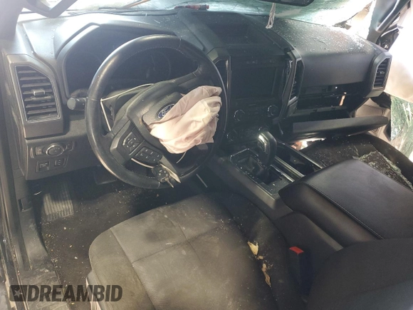 2019 Ford F-150 XL with VIN 1FTEW1E40KFC15335, listed as a Copart auction lot 47199965 with 0 mi miles and Salvage Title. Bid and sale history available at carsss.com. Image 8.
