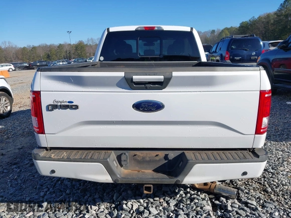 2015 Ford F-150 XL with VIN 1FTEX1CP2FKD90662, listed as a IAAI auction lot 41273874 with 138,768 mi miles. Bid and sale history available at carsss.com. Image 15.