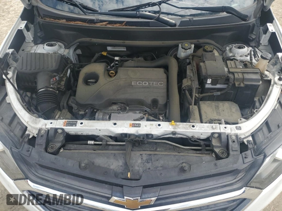 2019 Chevrolet Equinox LT z VIN 2GNAXKEV7K6189652, wystawiony jako Copart lot #56793955 z przebiegiem 162 293 mil mil oraz Szkoda całkowita • Salvage title. Historia ofert i sprzedaży dostępna na DreamBid. Obrazek 12.